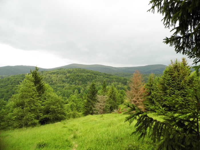 Bieszczady widok