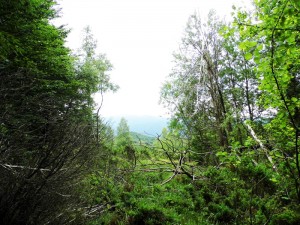 Bieszczady widoki