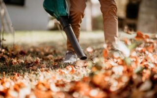 porządkowanie ogrodu jesienią