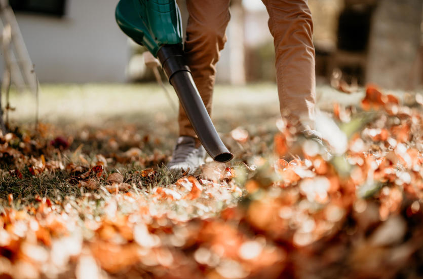 sprzątanie ogrodu jesienią