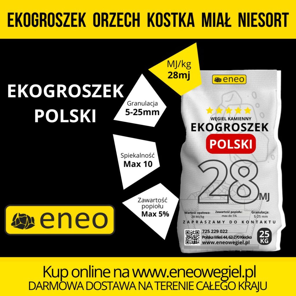 ekogroszek najlepszy